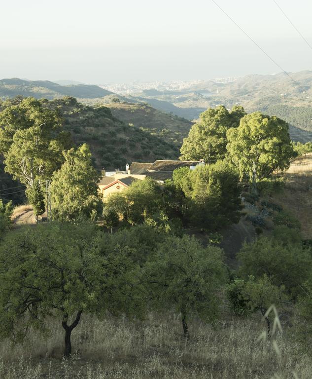 Rural Montes Malaga: Lagar Don Sancho Villa ห้อง รูปภาพ